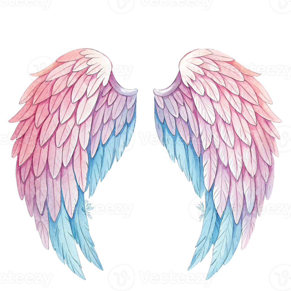 Watercolor painted angel wings illustration isolated png