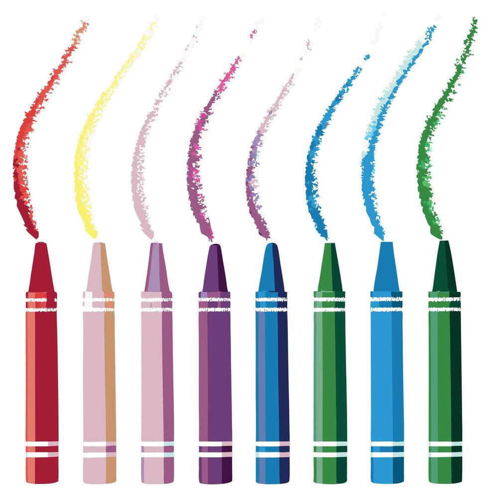 Back to School Supplies Collection Colorful Learning Tools vector