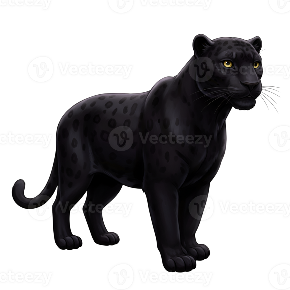 Majestic Black Panther A Powerful Symbol of the Wild png