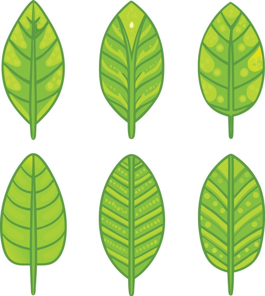 Collection of Six Different Green Leaves with Unique Patterns and Textures vector