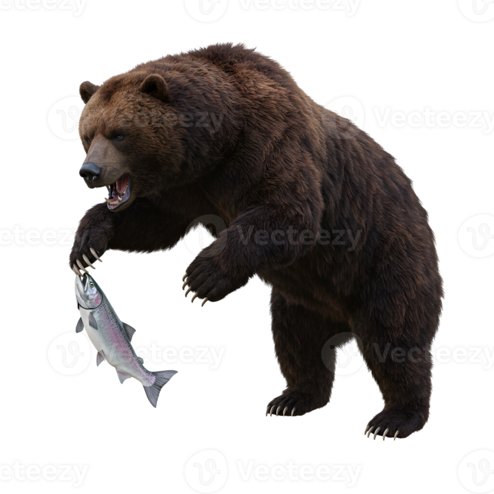 Grizzly Bear Catching Salmon Powerful Wildlife Image png