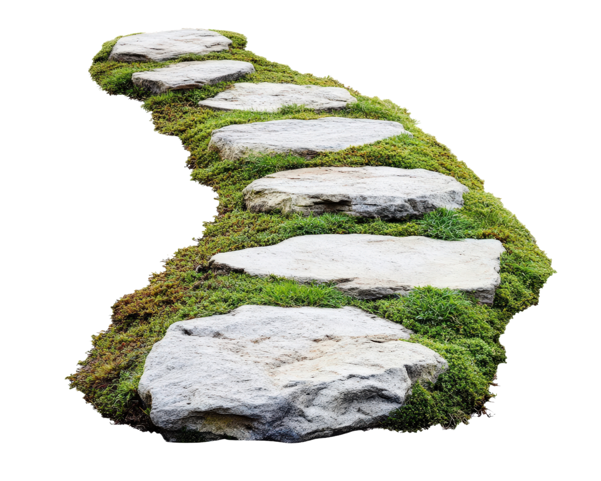 Stepping stones with moss on them png