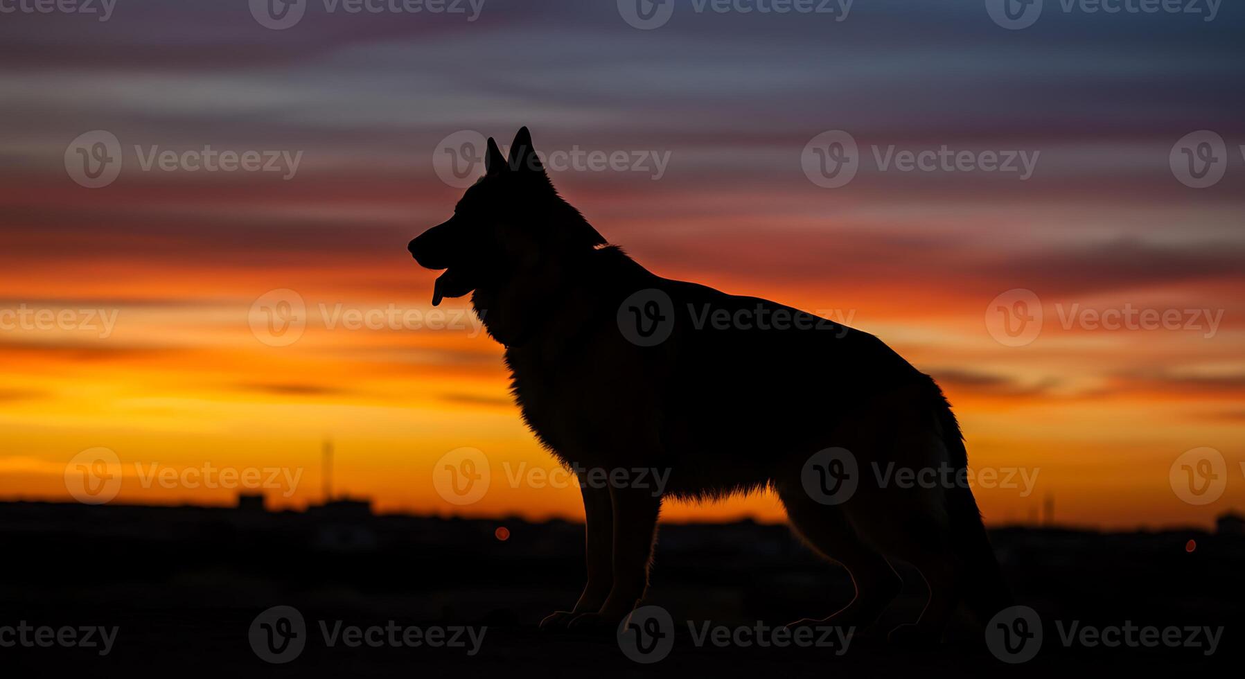 Silhouetted German Shepherd at Sunset A Fiery Canine Portrait photo