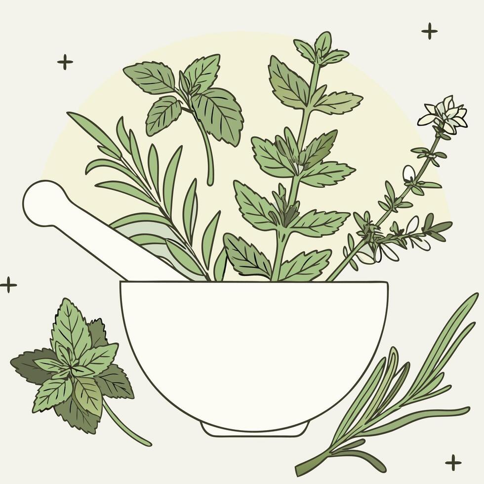 Assortment of Fresh Herbs in a Mortar and Pestle for Herbal Remedies and Natural Healing vector