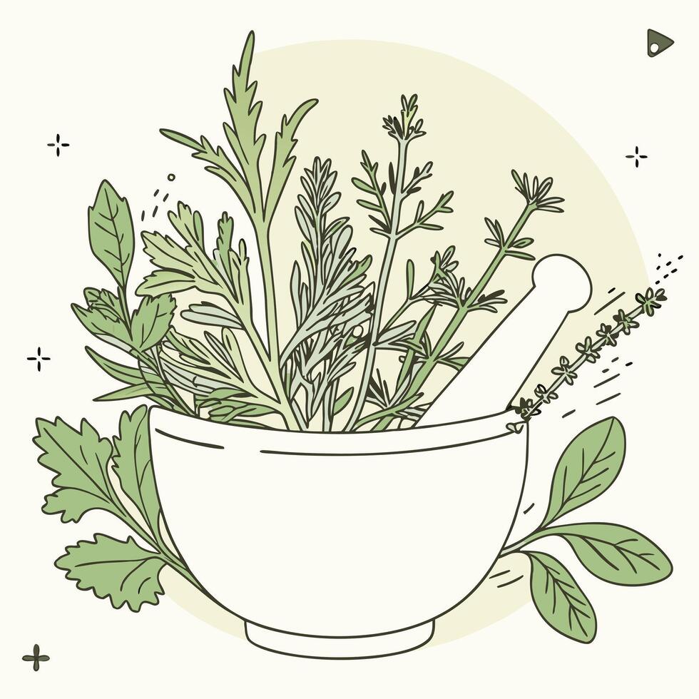 Aromatic Herbs and Spices in a White Mortar and Pestle Bowl for Herbal Remedies and Natural Healing vector