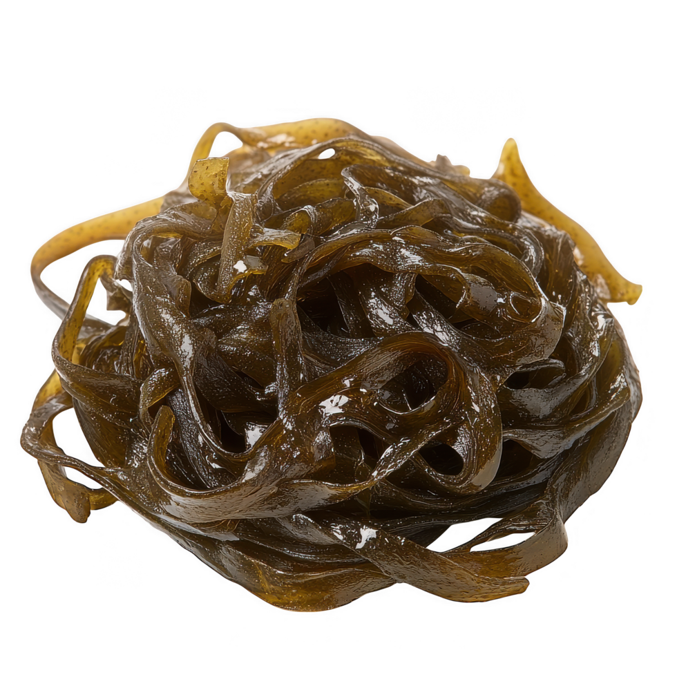 Slimy brown seaweed with tangled appearance, showcasing its unique texture and form. This seaweed is often found in marine environments, adding to underwater ecosystem png