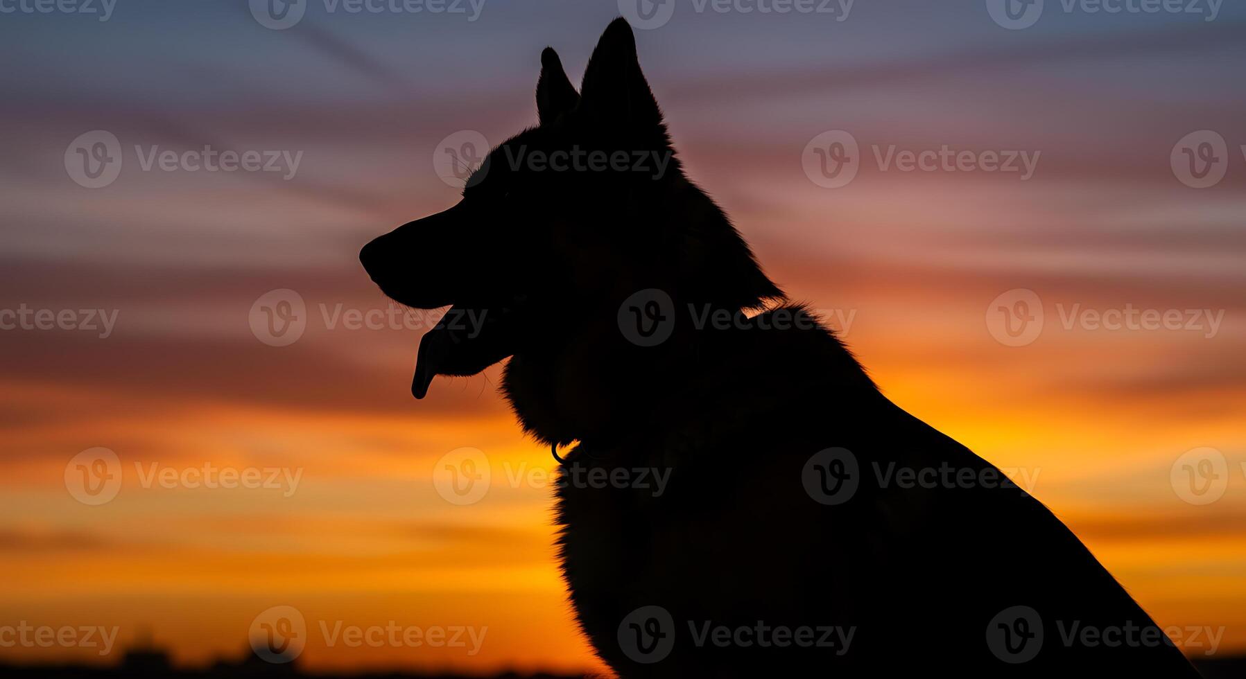 Majestic German Shepherd Silhouette at Sunset A Serene Fiery Image photo