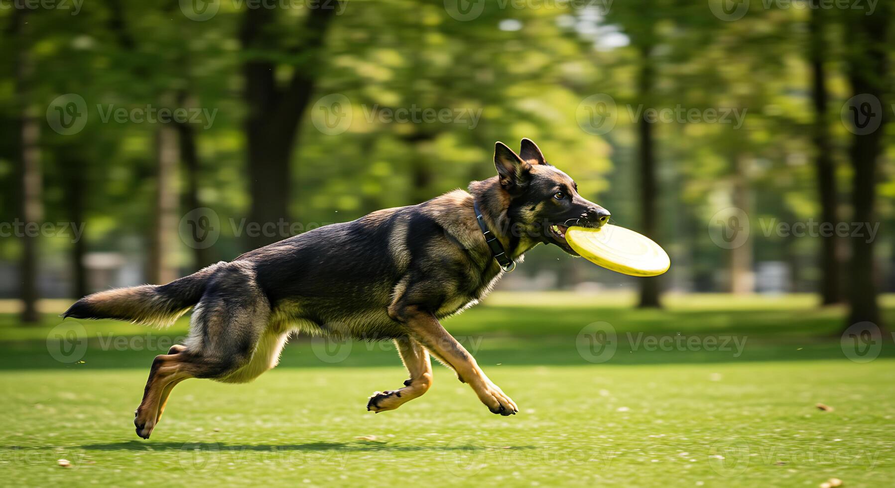 German Shepherd Dog Fetching Yellow Frisbee Active Joyful Park Scene photo