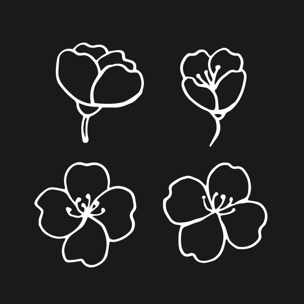 Flowers of jasmine hand drawn illustration isolated branch ink style. vector