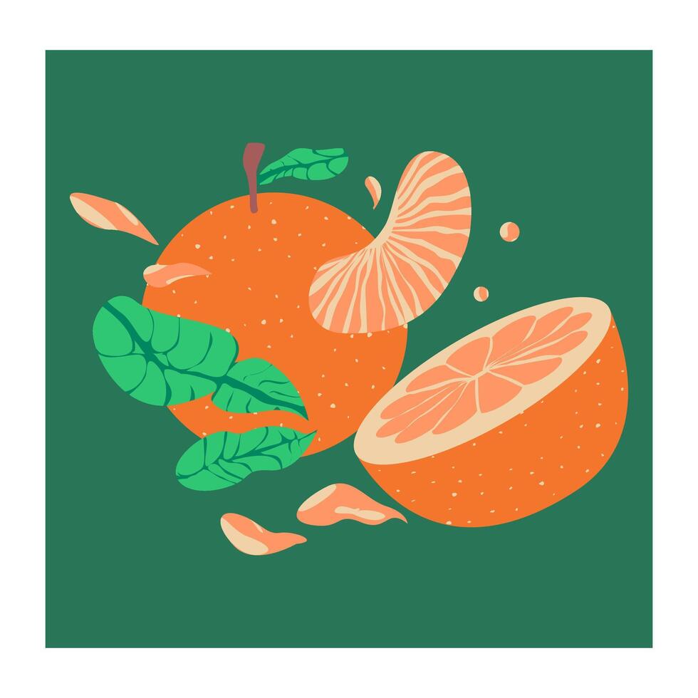 oranges that taste sweet vector