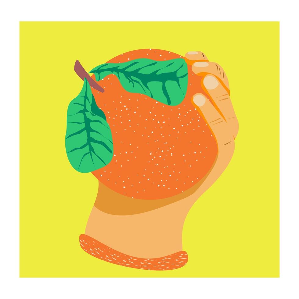 holding a sweet orange vector