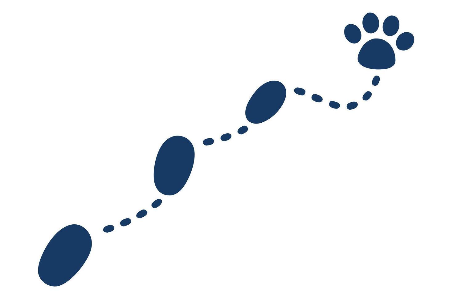 Cartoon Blue Paw Print Trail on White Backdrop Footprints, Steps, Track vector