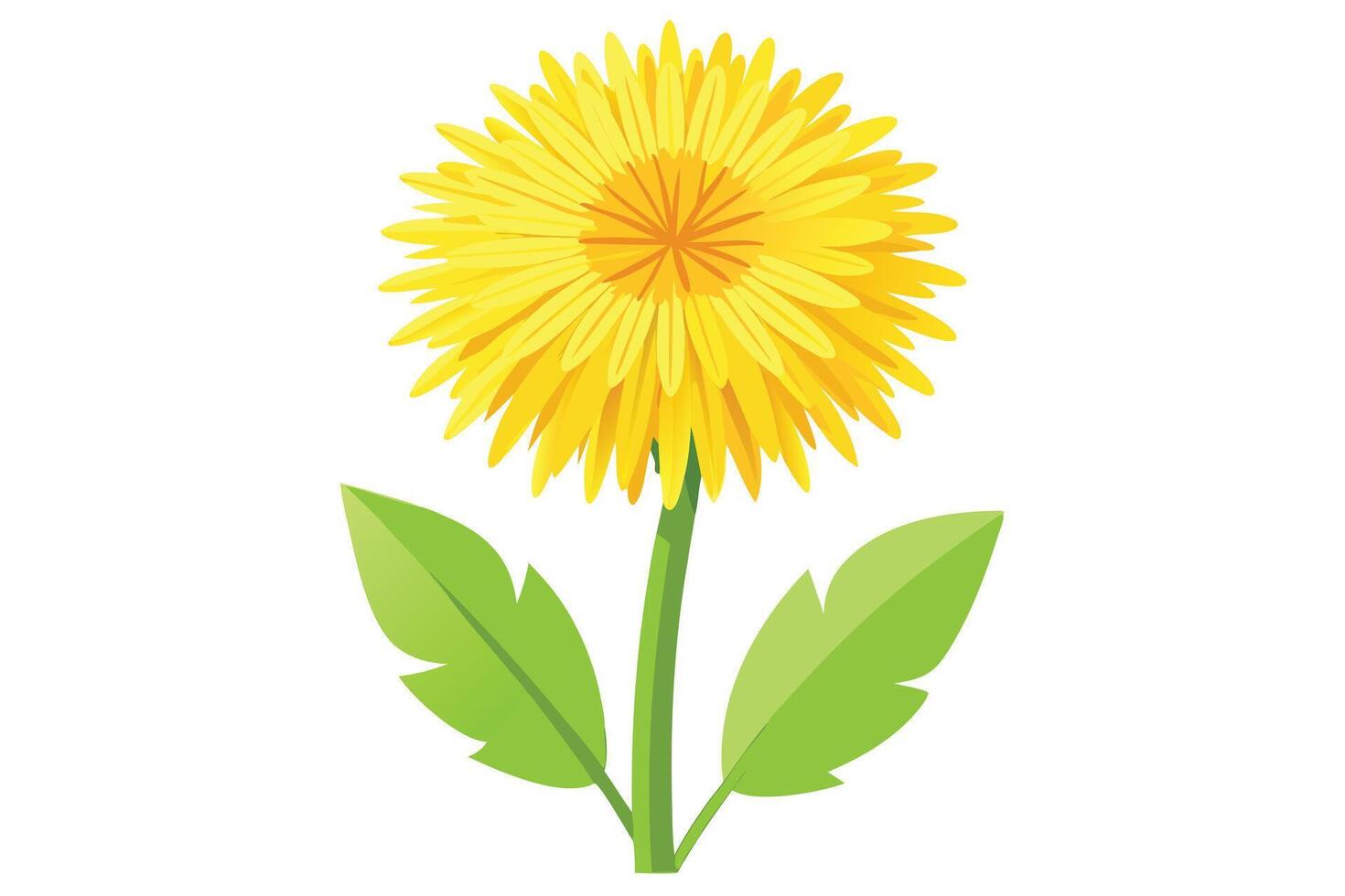 Dandelion Blossom Bright Yellow Flower with Green Leaves vector