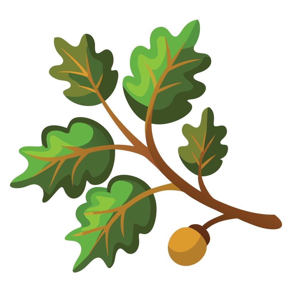 Stylized Oak Branch with Green Leaves and Acorn on White Background vector
