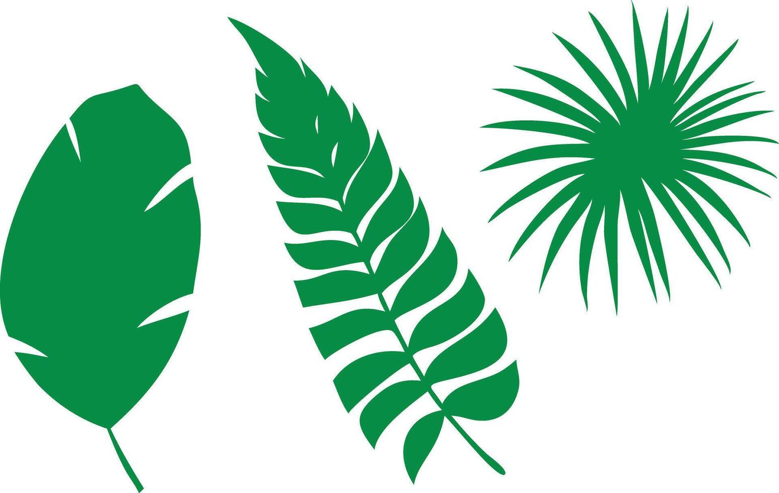 Green Tropical Leaf Silhouettes, Leaf Shapes with Transparent Background vector