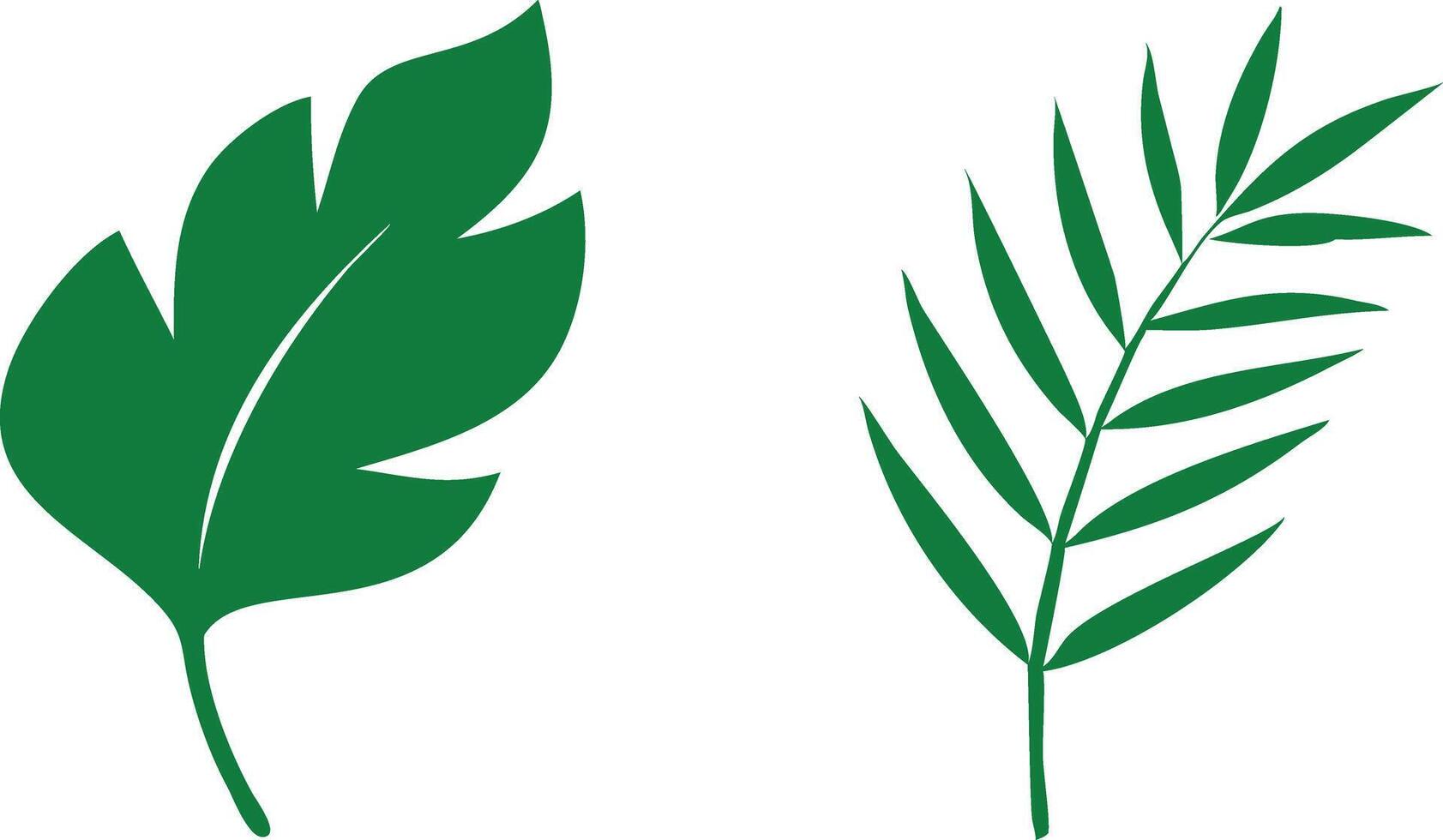 Green Tropical Leaves on White. Foliage Design Elements. Botanical Illustration vector