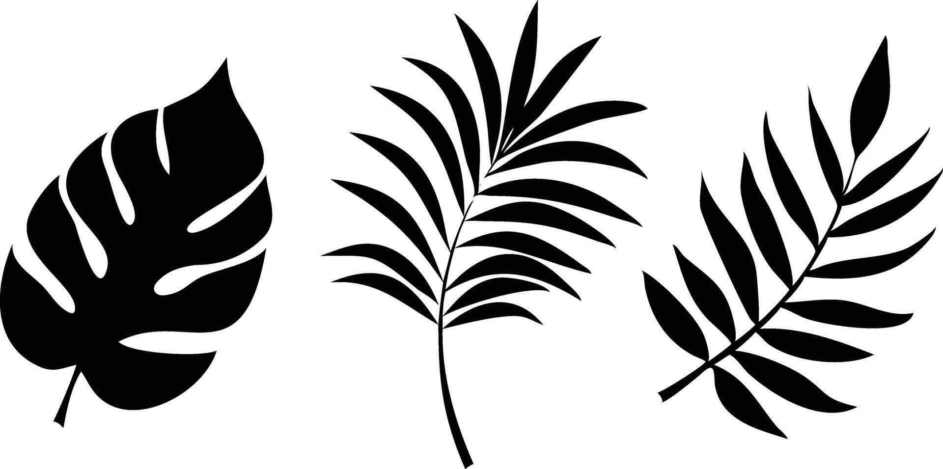 Tropical Foliage Set, Black Silhouette Leaves Isolated on White Background, Exotic vector