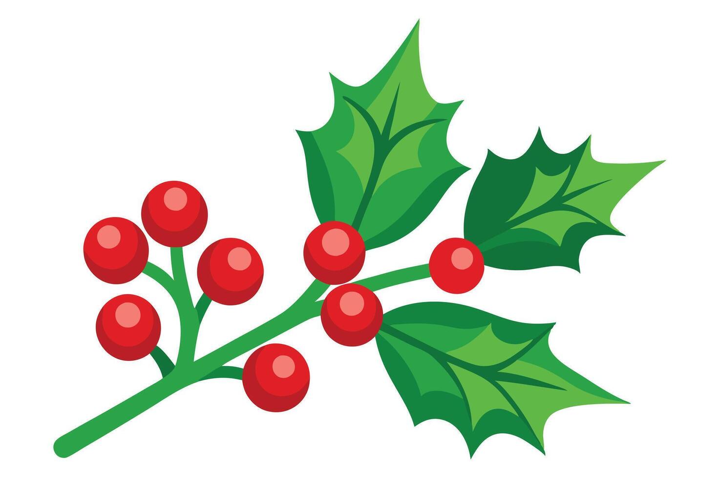 Cartoon Holly Branch With Green Leaves and Bright Red Berries On White vector