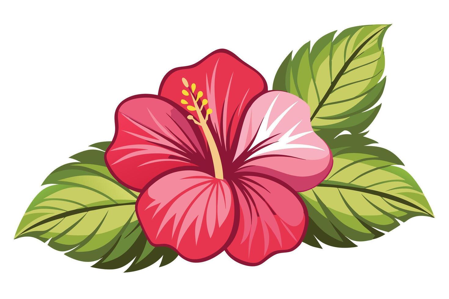 Decorative Red Hibiscus Flower with Green Leaves on Transparent Background vector