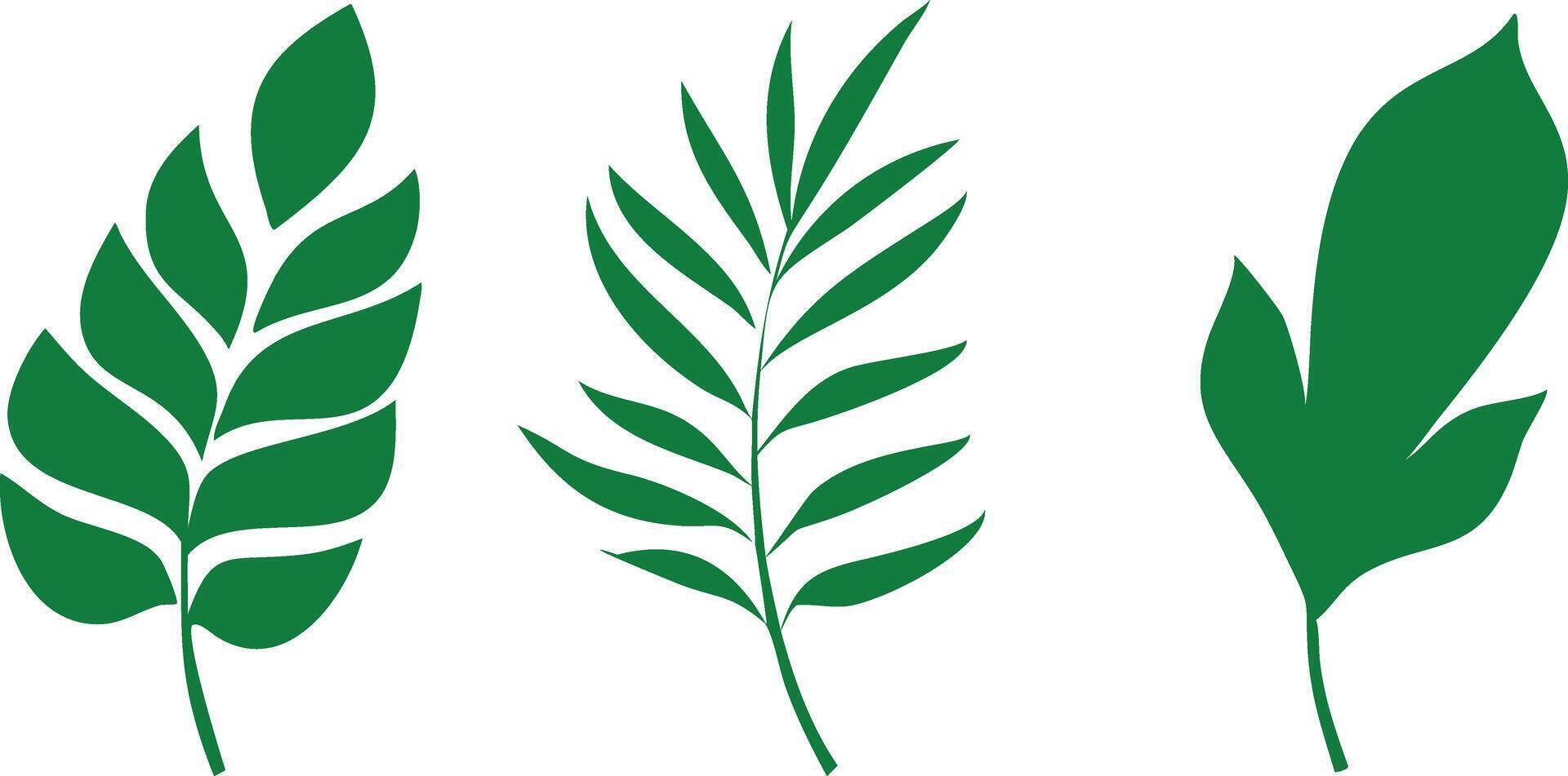 Tropical Green Leaf Set on White Background Design vector
