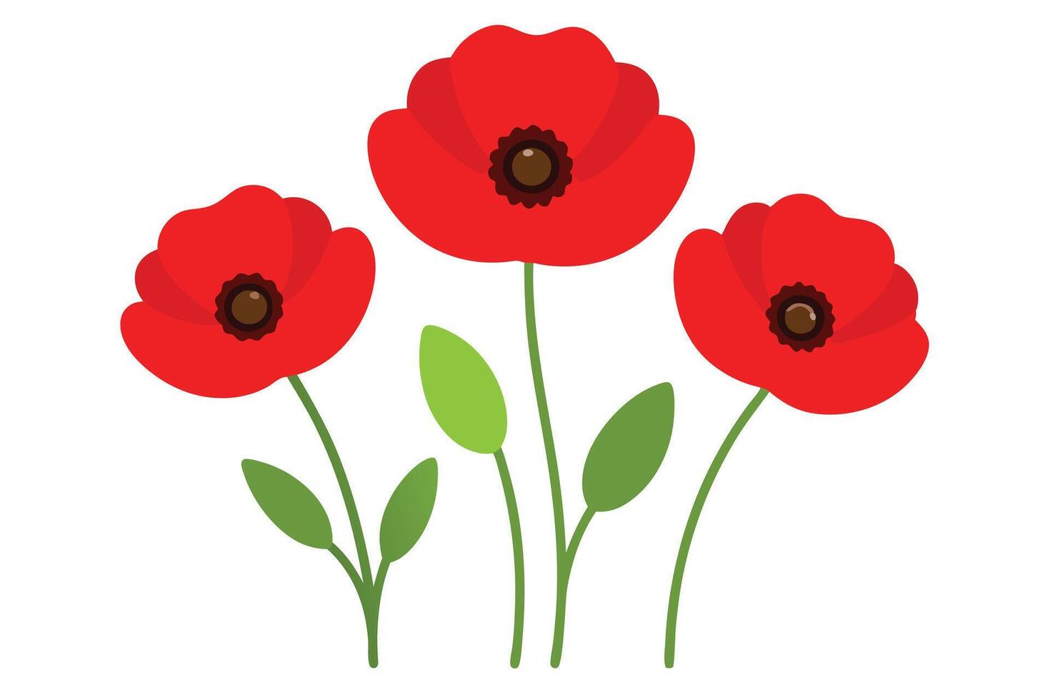 Three Red Poppies with Green Stems and Leaves on White Background Flat vector