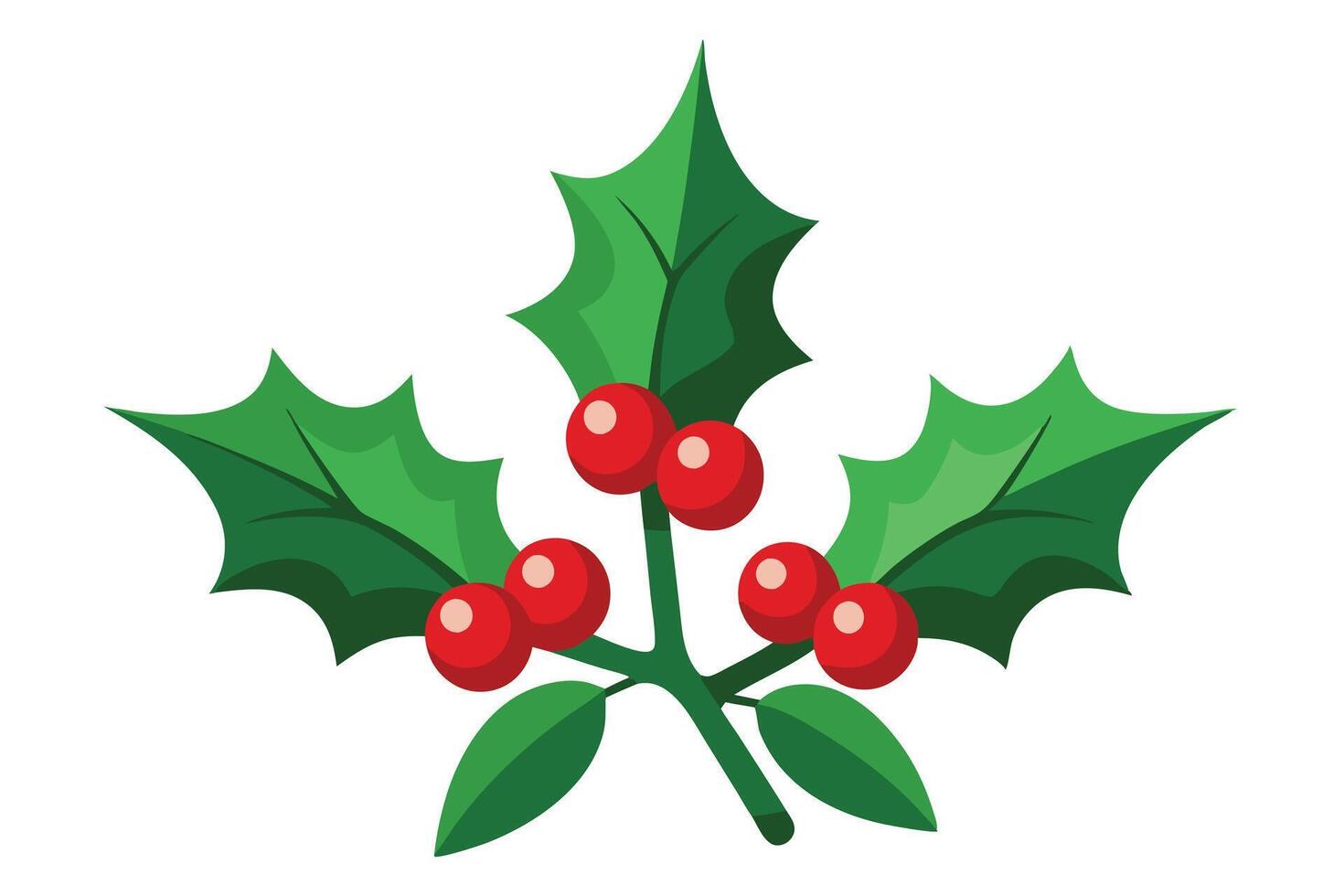 Festive Holly Berry Branch with Glossy Red Berries on White Background vector