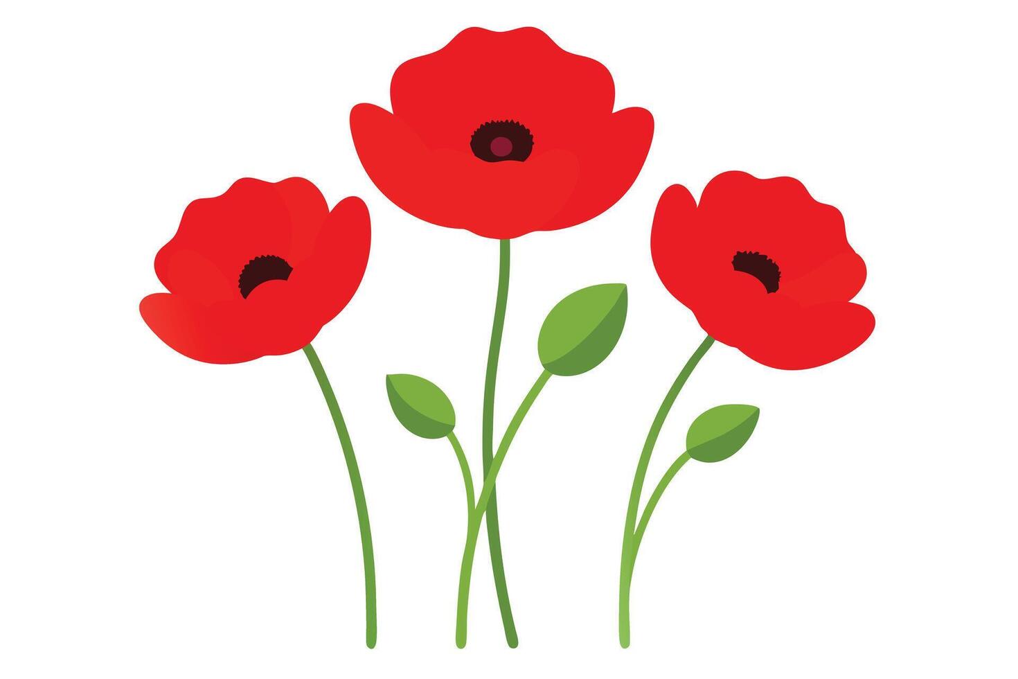 Vivid Red Poppy Flowers with Green Stems Isolated on White Background vector