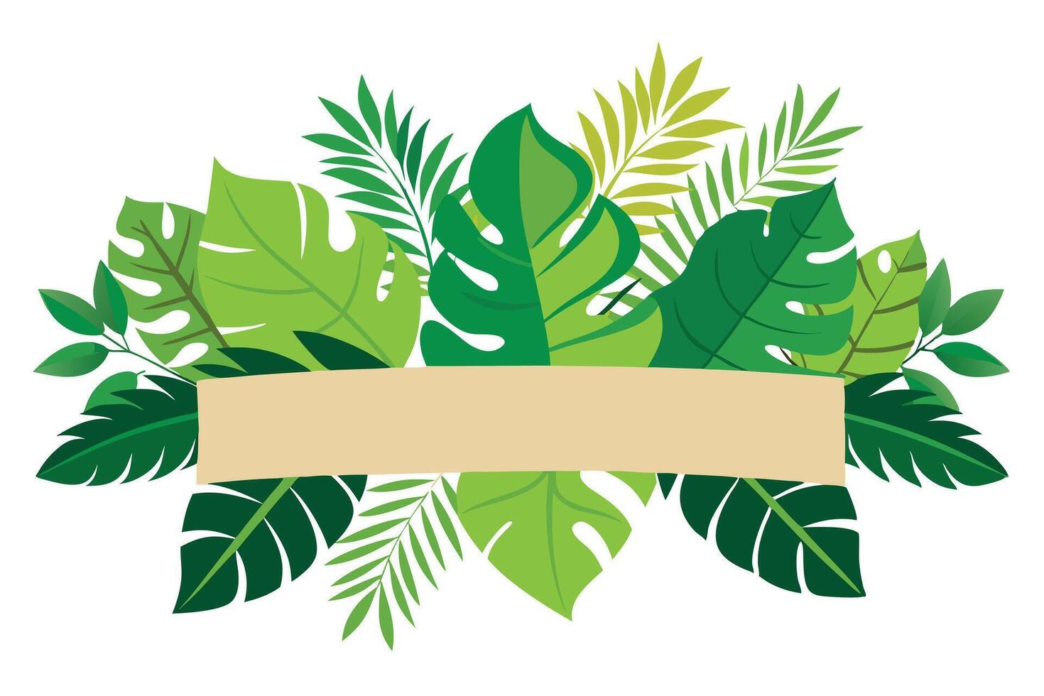 Tropical Foliage , Palm and Monstera Leaves, Banner Template, White Background vector