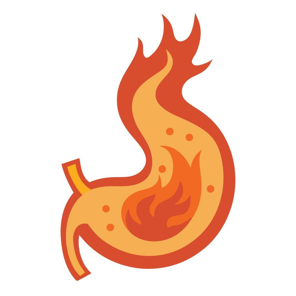 Burning Stomach Showing Orange and Red Flames on White Background vector