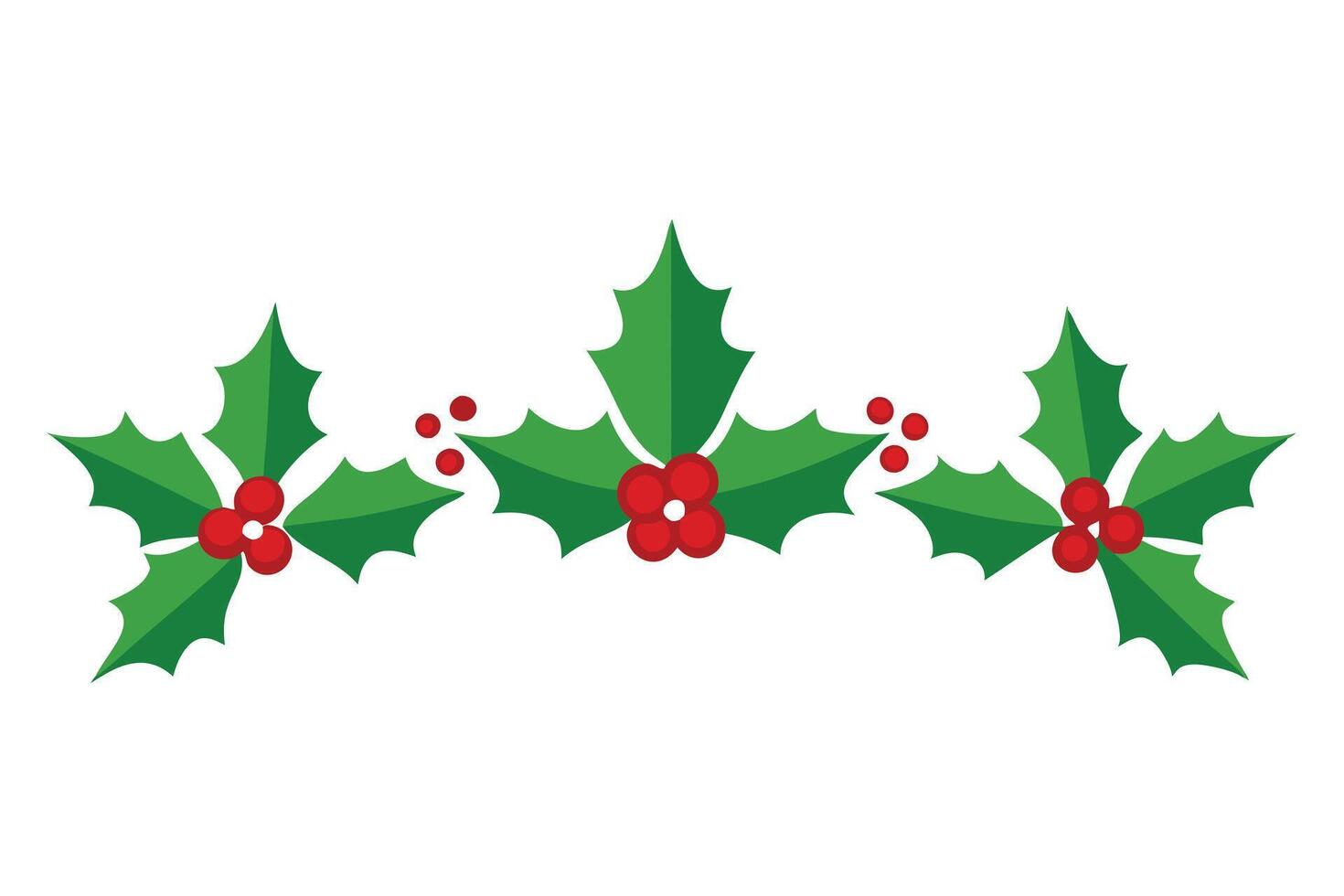 Flat Holly Berry Foliage Green Leaves and Red Berries on White Background vector