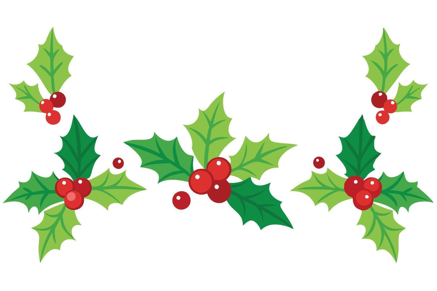 Holly Berry Sprigs with Green Leaves and Red Berries on a White Background vector