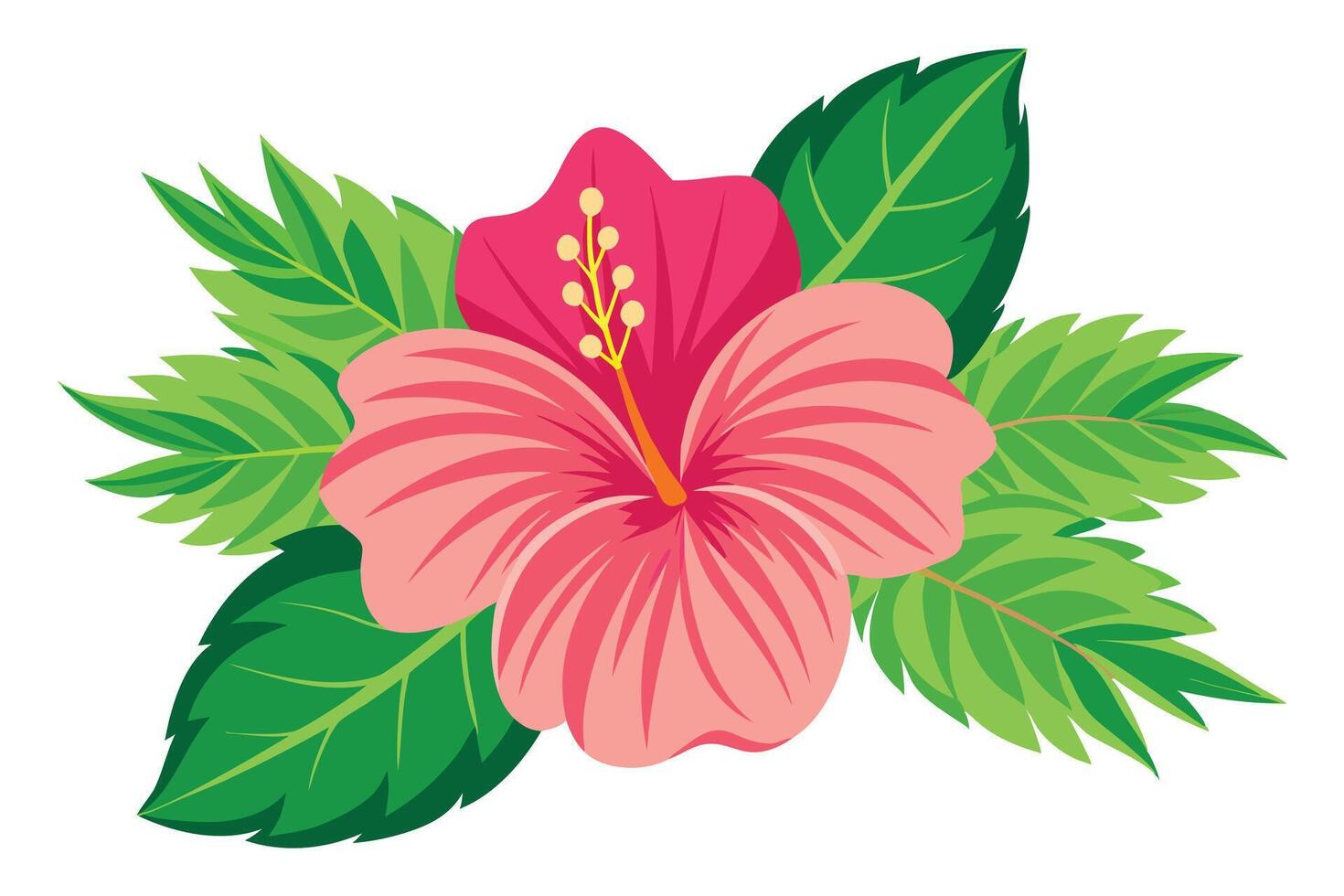 Tropical Pink Hibiscus Flower with Green Leaves on a Transparent Background Design vector