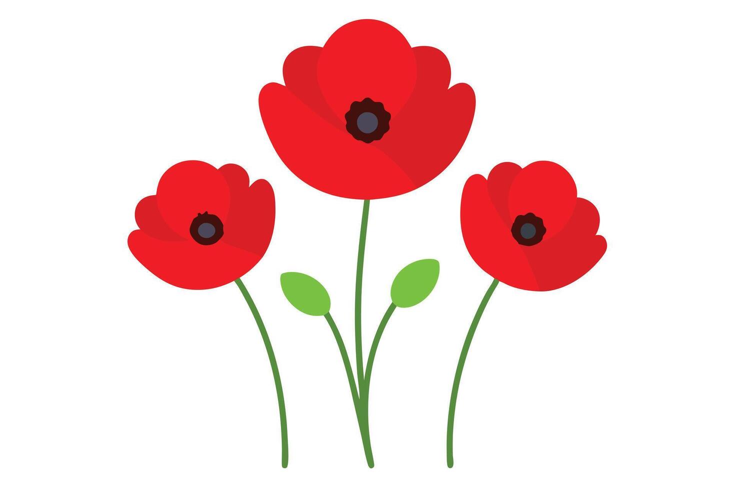 Three Red Poppies with Green Stems on White Background Art vector