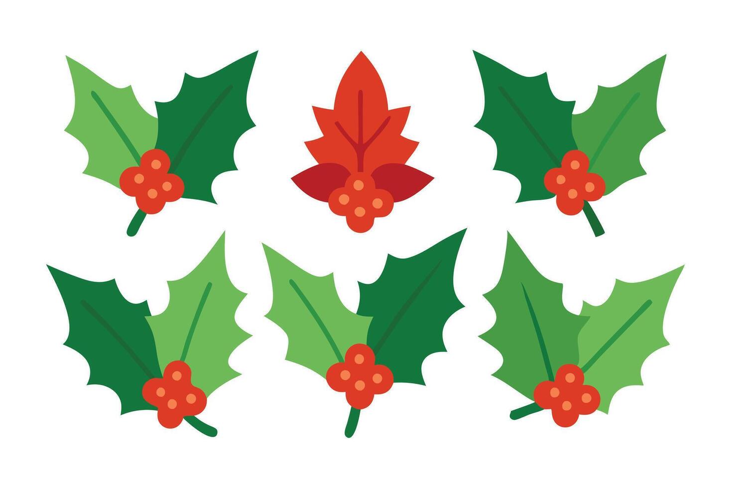 Holly Leaves and Berries Colorful Festive Foliage on a Transparent Background vector