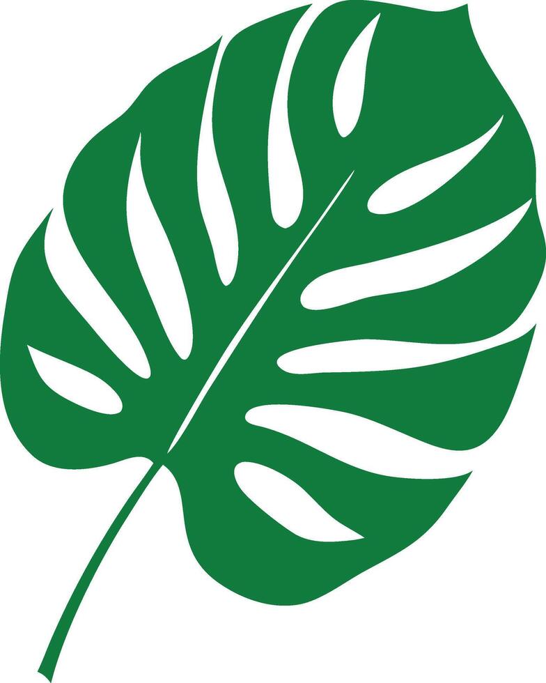 Elegant Green Monstera Deliciosa Leaf Isolated on a White Background Icon vector