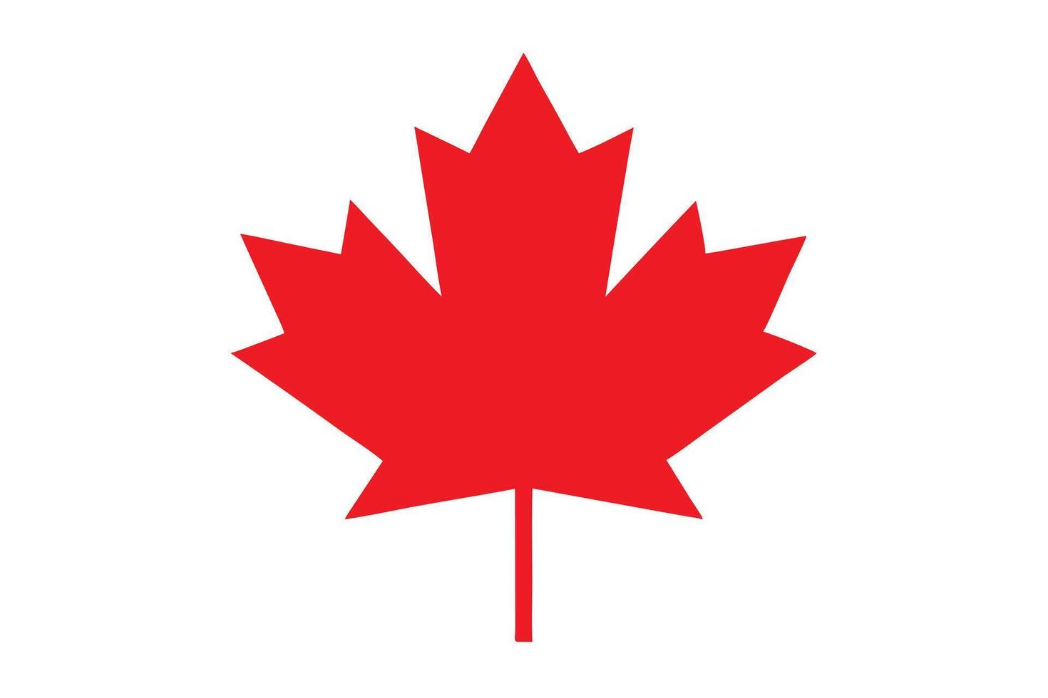 Red Maple Leaf Symbol on a White Backdrop, Nature Emblem, Canadian Icon vector