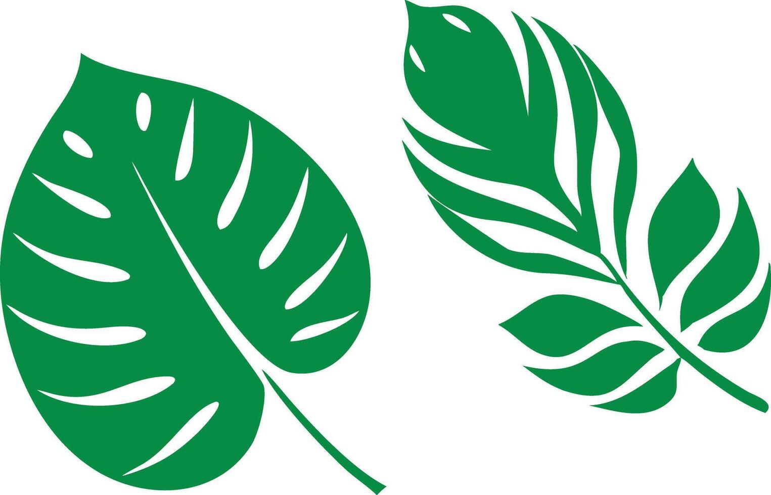 Green Monstera Leaf and Fern Leaf Set Isolated on White Background vector