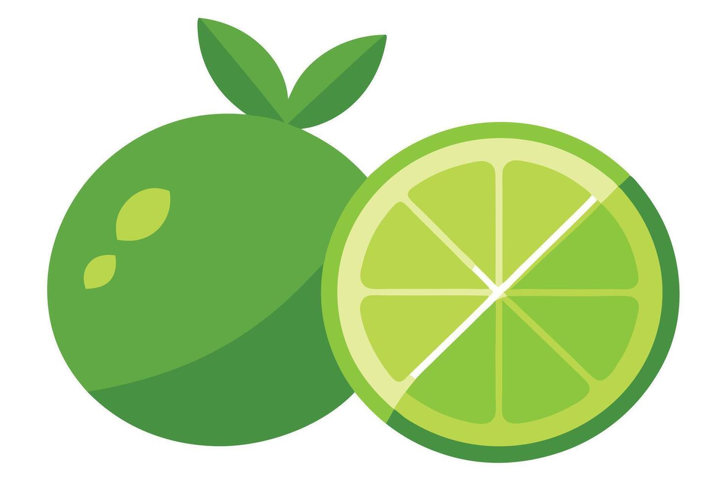 Flat Whole Green Lime Fruit with Leaves and a Slice on White vector