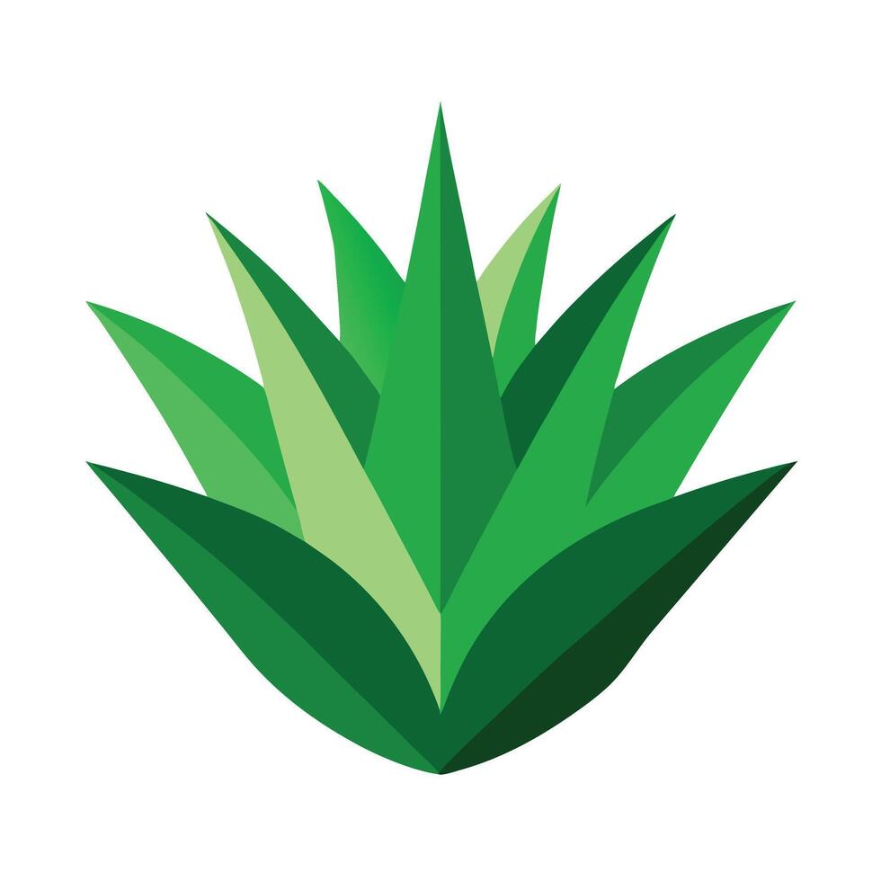 Flat Geometric Blue Agave Plant in Green Tones with a White Background vector