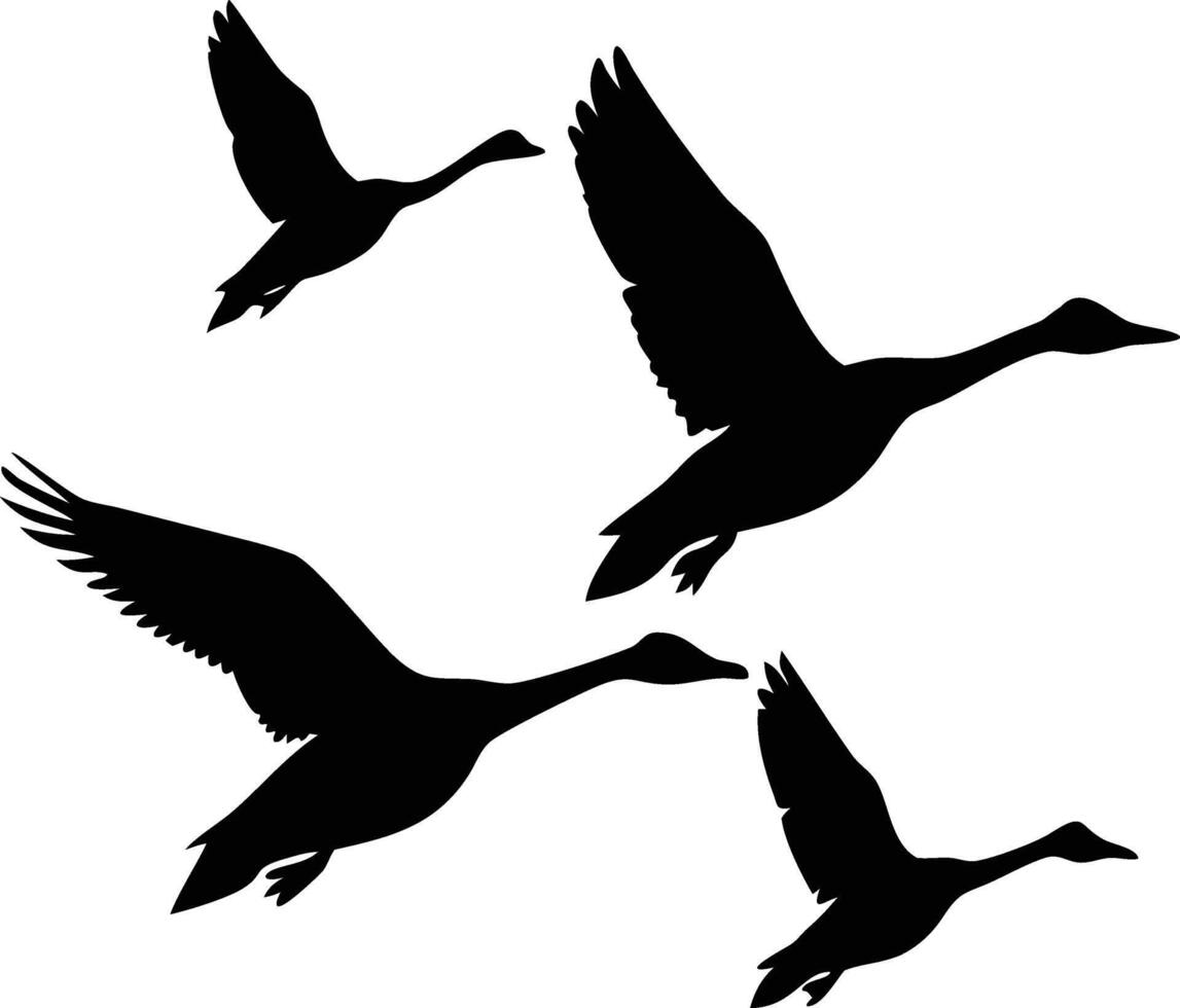 Flying Birds Silhouette, Graceful Swan Flight, Wildlife Design, Transparent vector