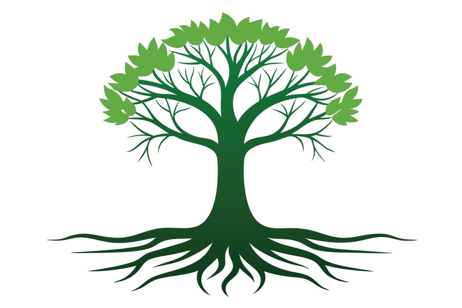 Isolated Green Tree with Roots and Branches on White Background vector