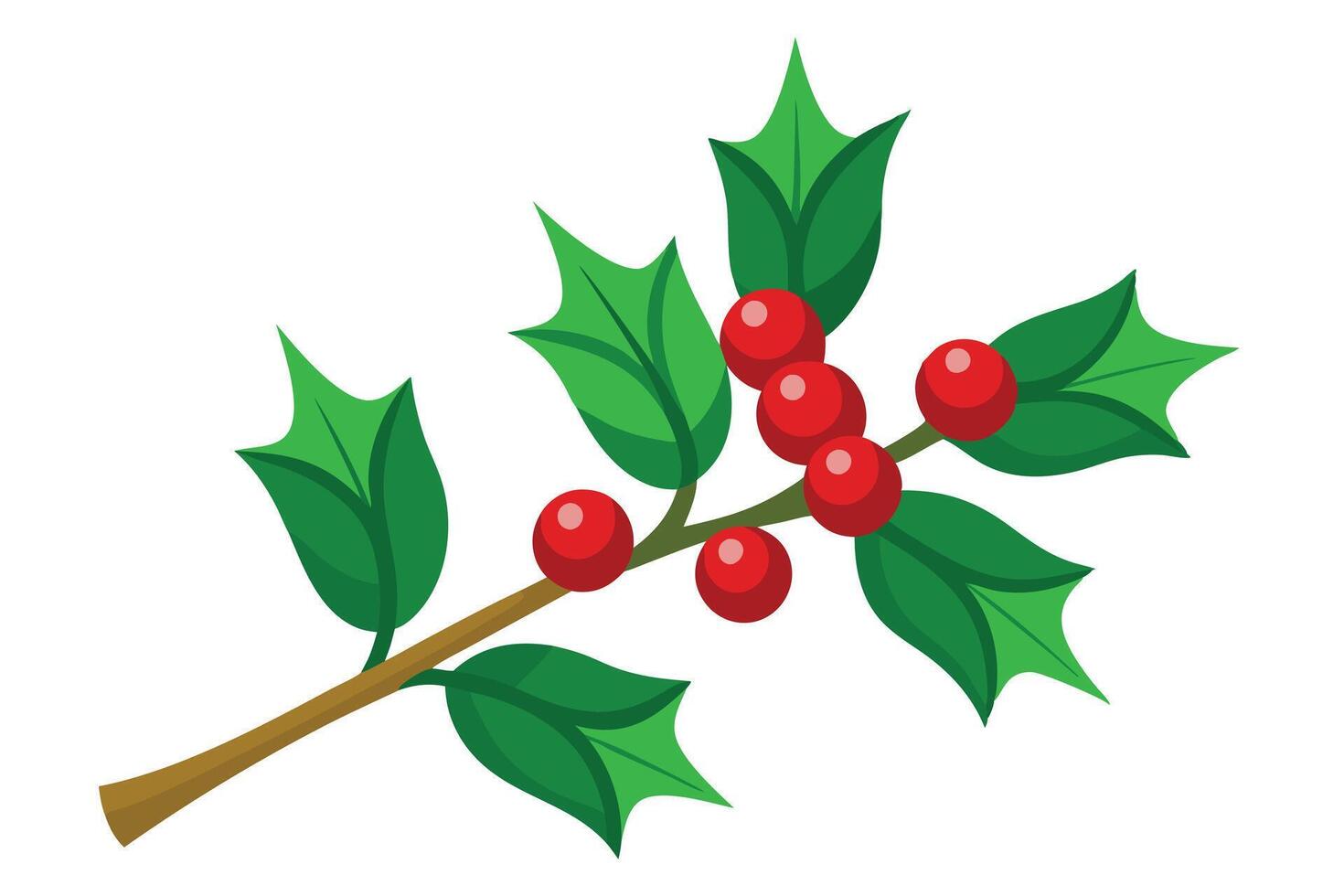 Decorative Cartoon Holly Branch with Red Berries and Green Leaves on White vector