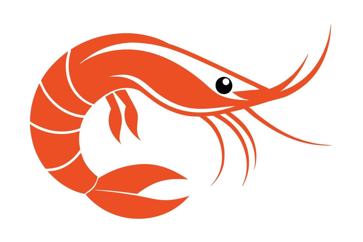Shrimp Orange Seafood, White Accents and Simple Cartoon Aesthetic vector