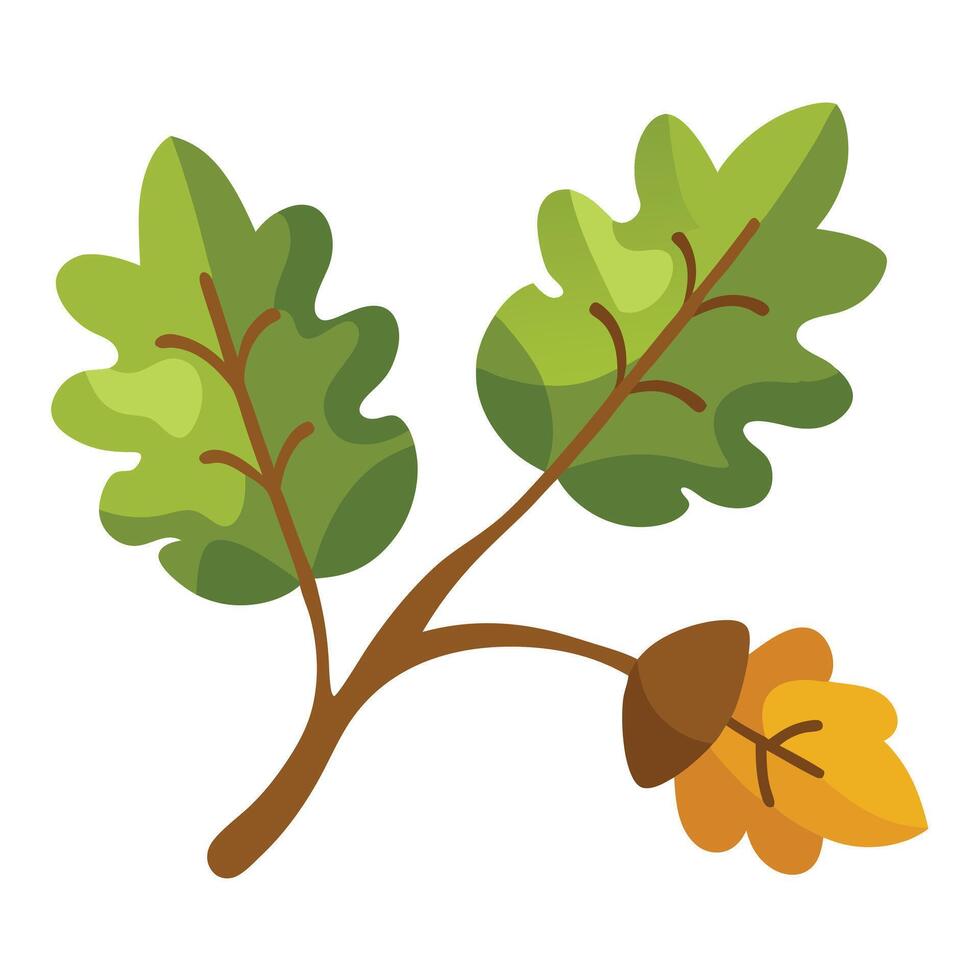 Stylized Oak Branch with Green Leaves and Brown Acorn on White vector