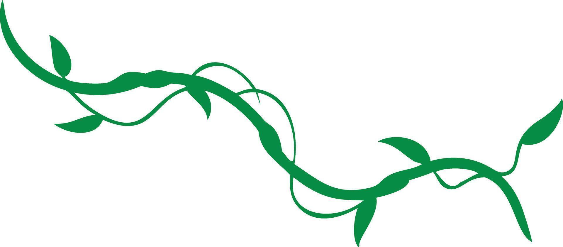 Green Vine Branch with Leaves on White Background Ornament vector