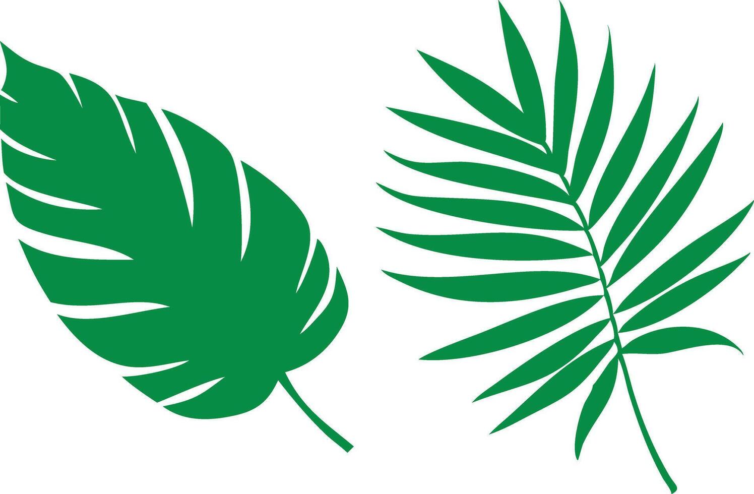 Tropical Green Leaves Set, Botanical Nature Elements on White Background vector