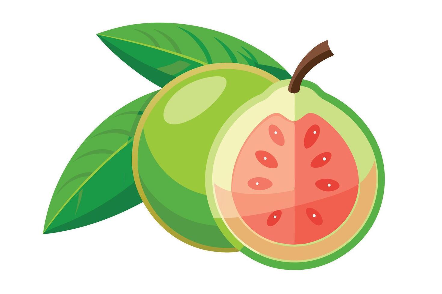 Sliced Guava Fresh Fruit Icon with Green Leaves on White Background vector
