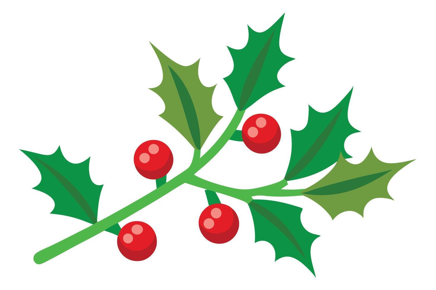 Holly Branch with Berries, Green Leaves and Red Fruits, Flat Design, Isolated vector