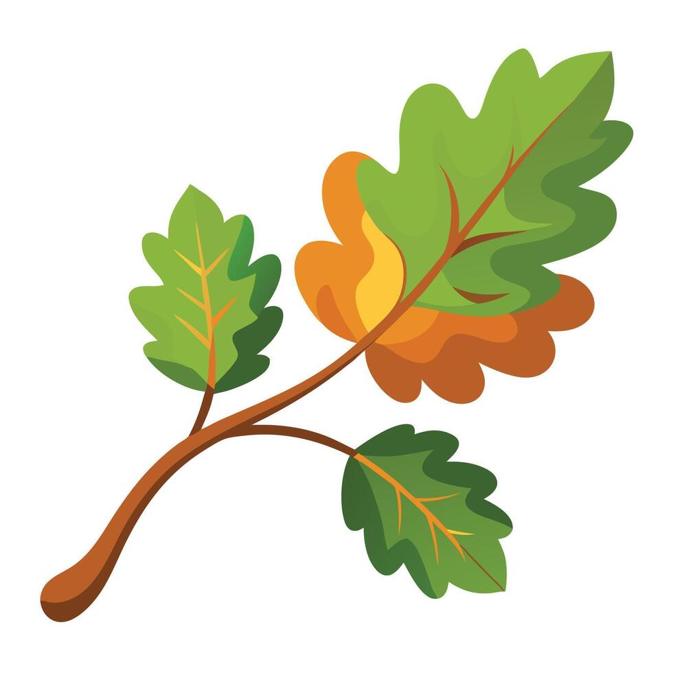 Cartoon Style Oak Branch with Green Leaves and Autumnal Brown Leaves Isolated vector
