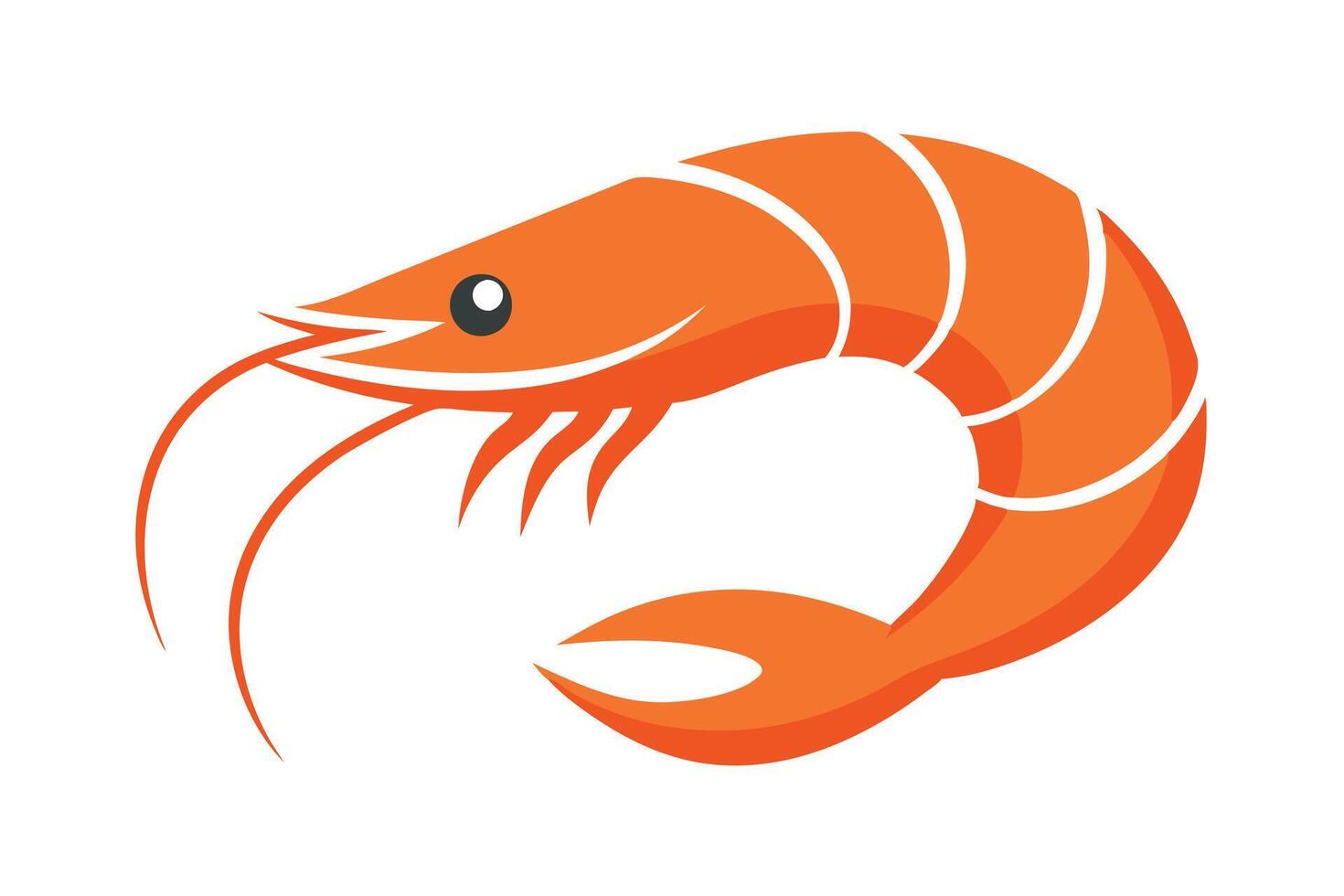 Orange Shrimp with White Stripes on a White Background vector